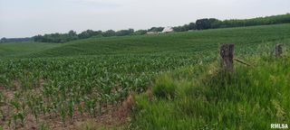 0 W 173RD Avenue, Taylor Ridge, IL 61284