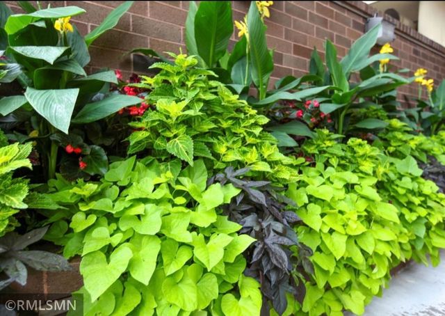 26 10th Street W 601, Saint Paul, MN 55102