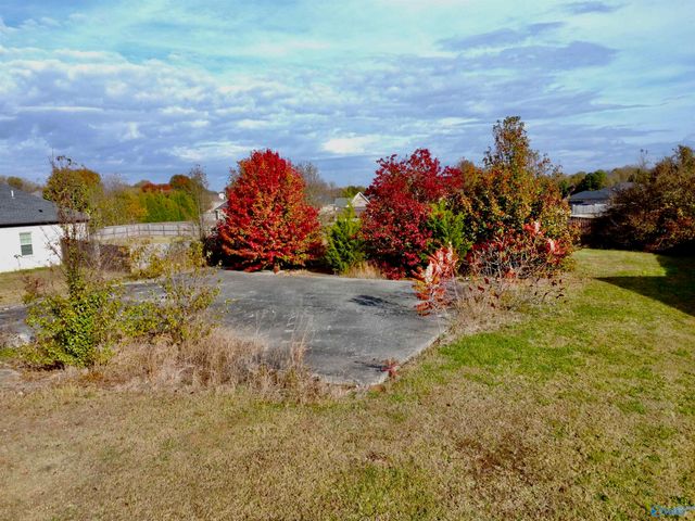 154 Old Eli Road, Toney, AL 35773