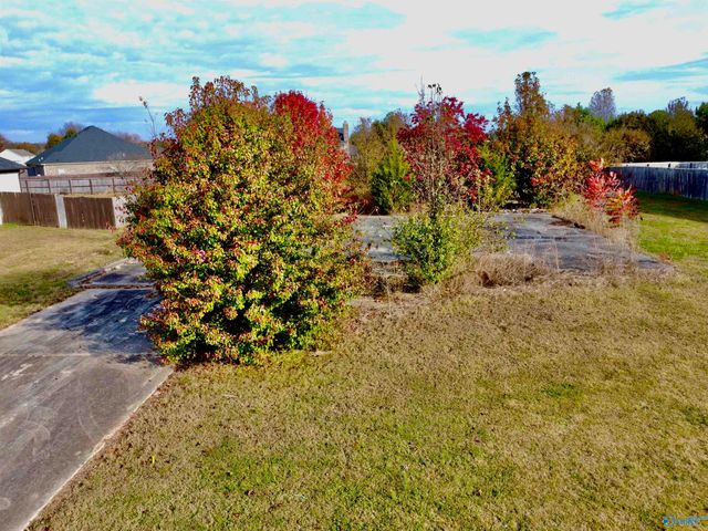 154 Old Eli Road, Toney, AL 35773