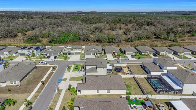 16612 CARLTON POND STREET, Wimauma, FL 33598