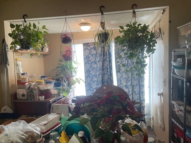 36 Sterling Street, Rochester, NY 14606