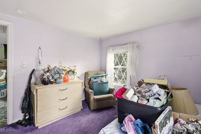 229 Hayes Avenue, Cuyahoga Falls, OH 44221