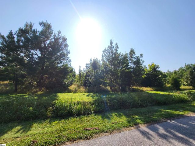 00 S Mcelhaney Road, Greer, SC 29651