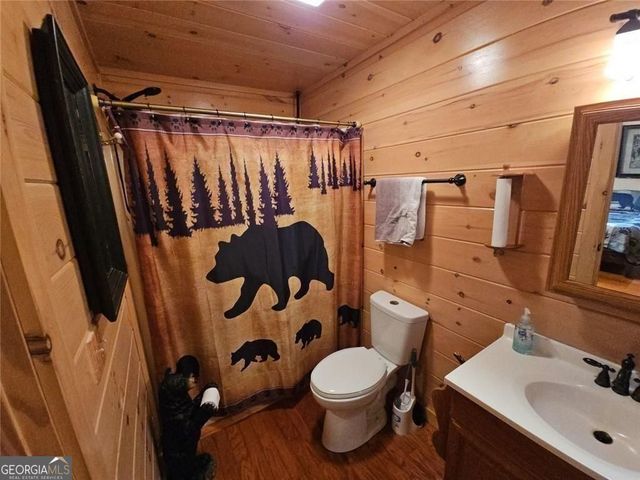 216 Sourwood Drive, Blue Ridge, GA 30513