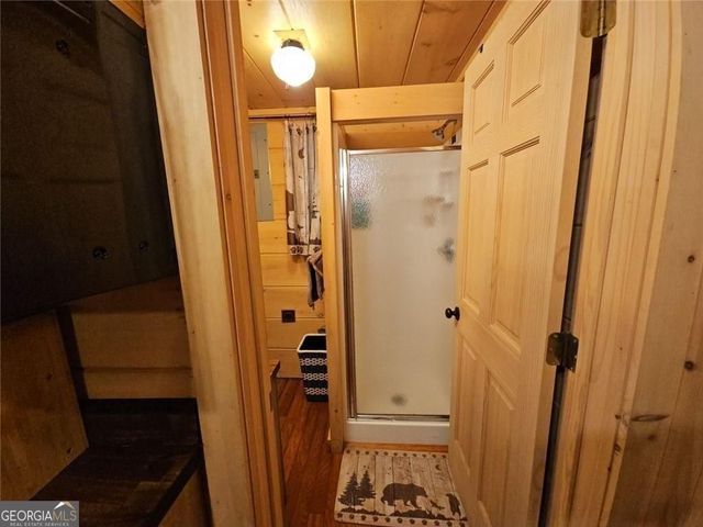 216 Sourwood Drive, Blue Ridge, GA 30513