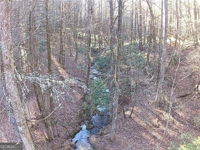 216 Sourwood Drive, Blue Ridge, GA 30513