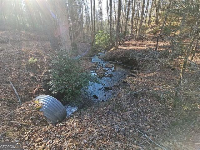 216 Sourwood Drive, Blue Ridge, GA 30513