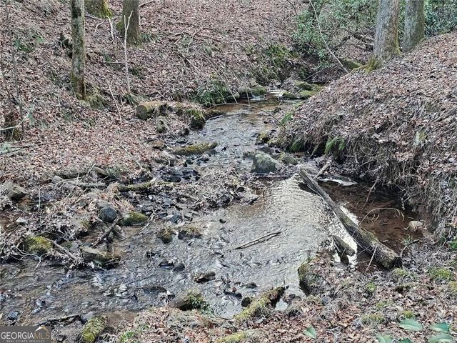 216 Sourwood Drive, Blue Ridge, GA 30513