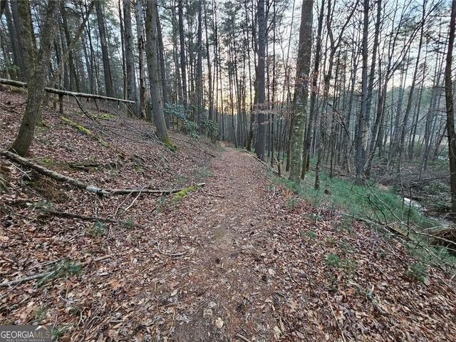 216 Sourwood Drive, Blue Ridge, GA 30513