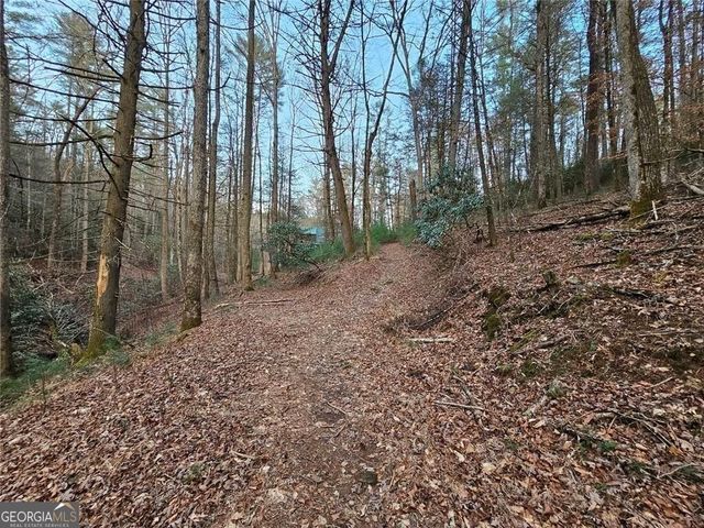 216 Sourwood Drive, Blue Ridge, GA 30513