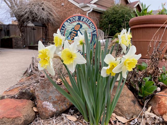 2024 Feather Lane, Lewisville, TX 75077