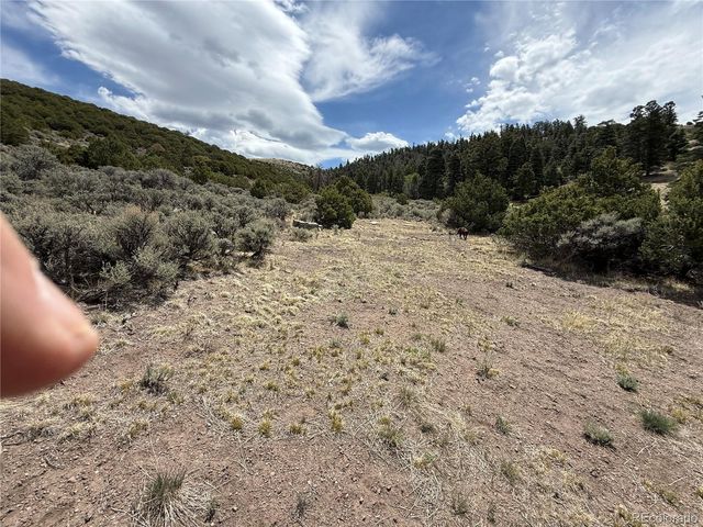 Lot 5428 Balleroy Road, Fort Garland, CO 81133