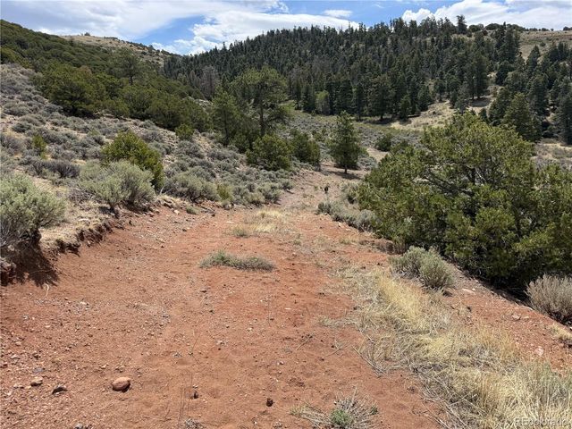 Lot 5428 Balleroy Road, Fort Garland, CO 81133