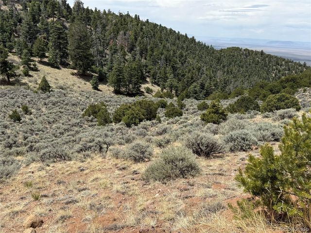 Lot 5428 Balleroy Road, Fort Garland, CO 81133