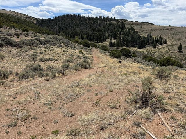 Lot 5428 Balleroy Road, Fort Garland, CO 81133
