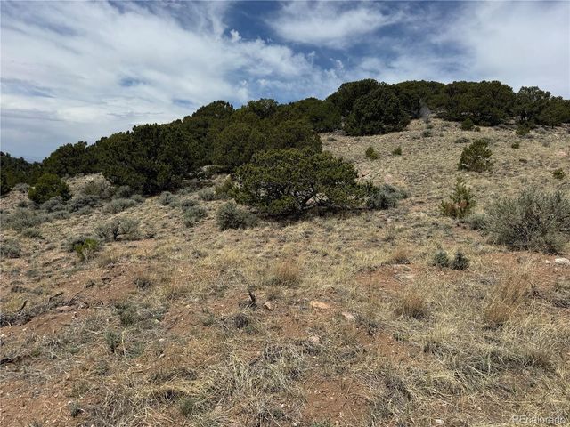 Lot 5428 Balleroy Road, Fort Garland, CO 81133