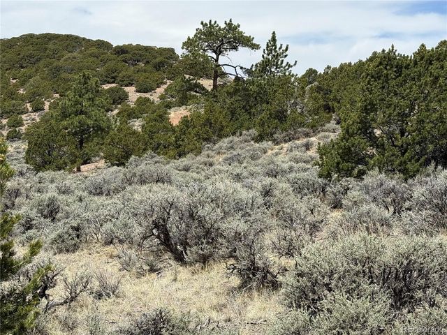 Lot 5428 Balleroy Road, Fort Garland, CO 81133