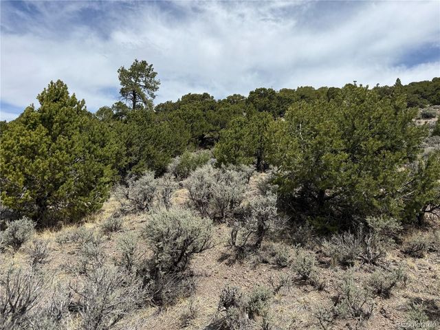 Lot 5428 Balleroy Road, Fort Garland, CO 81133