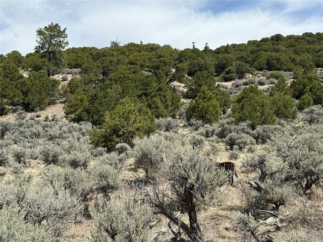 Lot 5428 Balleroy Road, Fort Garland, CO 81133