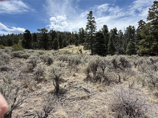 Lot 5428 Balleroy Road, Fort Garland, CO 81133