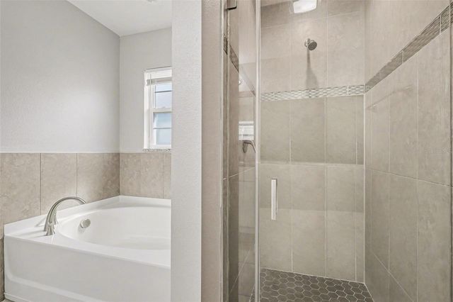 401 ALLSPICE COURT, Kissimmee, FL 34759