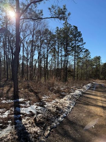 000 Pebble Drive, Clinton, AR 72031