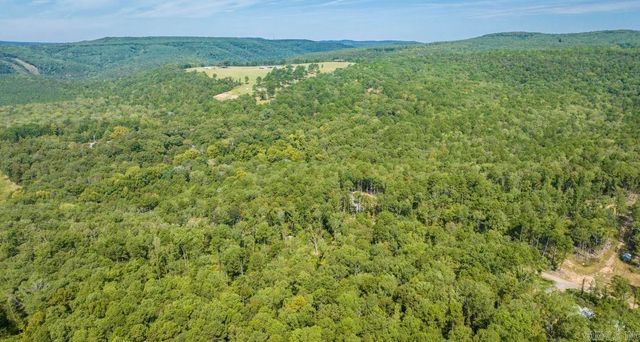 000 Pebble Drive, Clinton, AR 72031