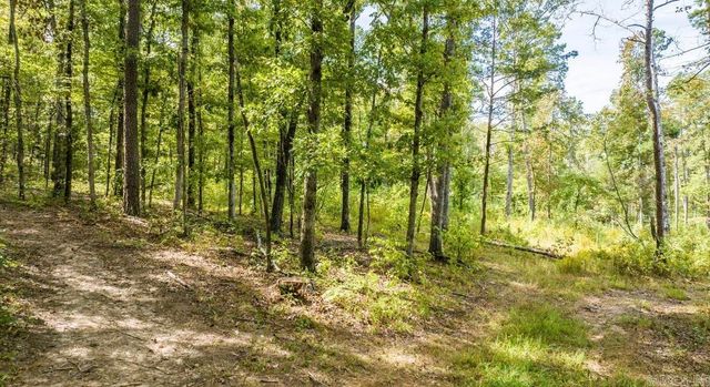 000 Pebble Drive, Clinton, AR 72031