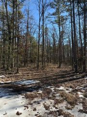000 Pebble Drive, Clinton, AR 72031