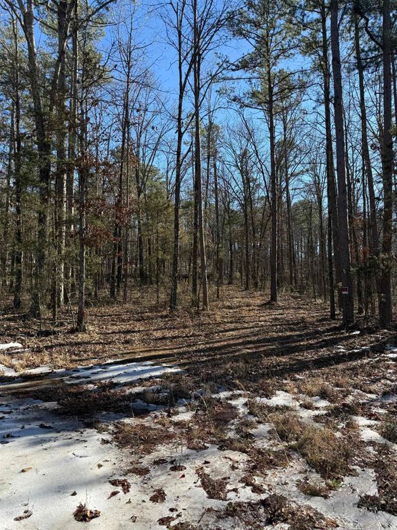 000 Pebble Drive, Clinton, AR 72031