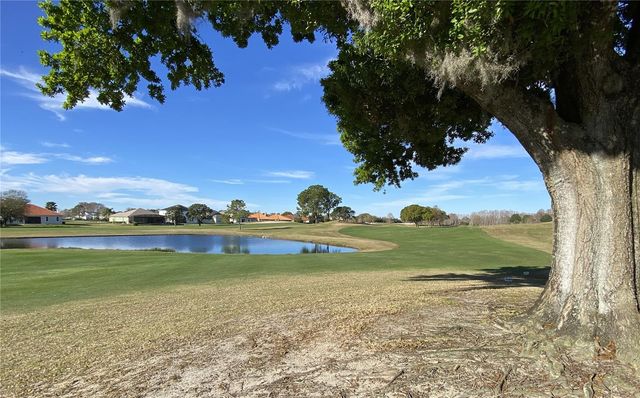 17740 SAWGRASS RUN, Tavares, FL 32778