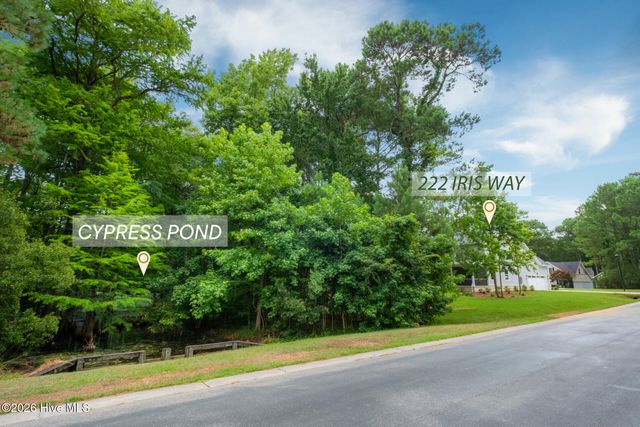 222 Iris Way, Hampstead, NC 28443