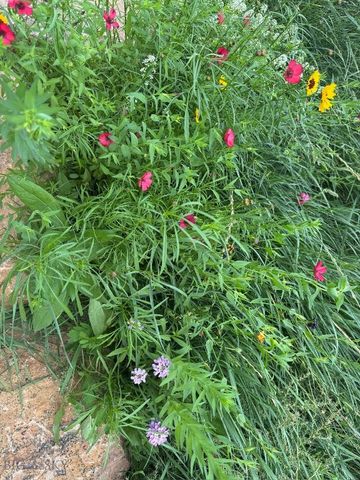 2876 Adam Run, East Helena, MT 59601