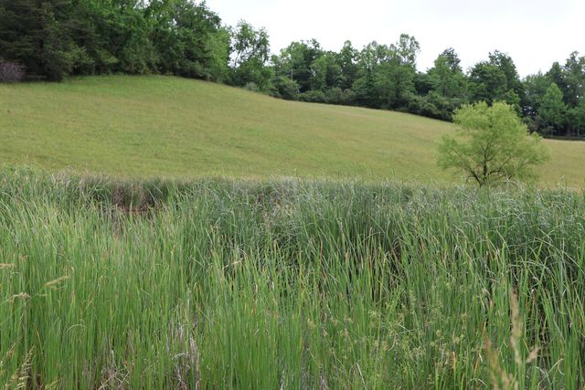4135 Big Andy Ridge Road Tract 2, Rogers, KY 41365