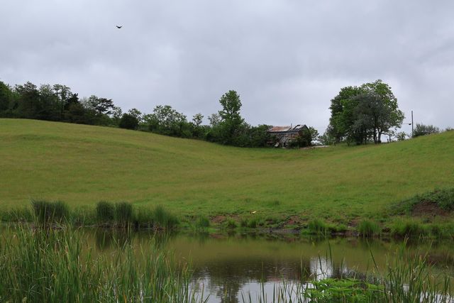 4135 Big Andy Ridge Road Tract 2, Rogers, KY 41365