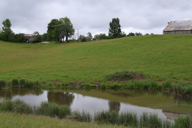 4135 Big Andy Ridge Road Tract 2, Rogers, KY 41365