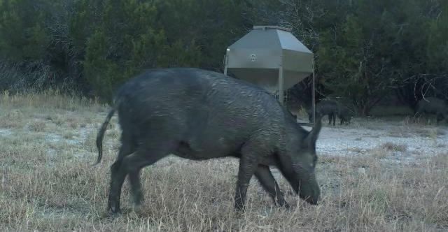2555 County Road 1139, Lampasas, TX 76550