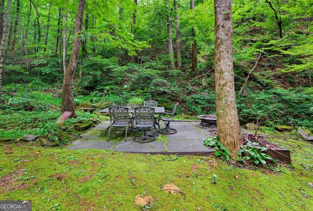 75 Juniper Trail, Clayton, GA 30525