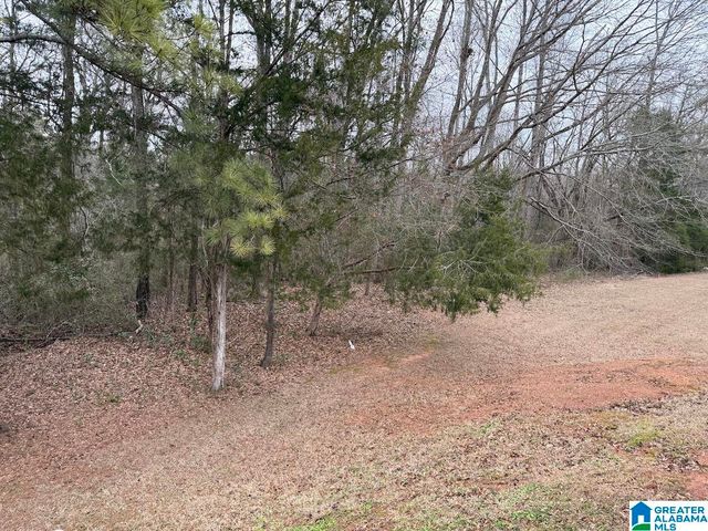 433 ANGEL STATION ROAD, Jacksonville, AL 36265