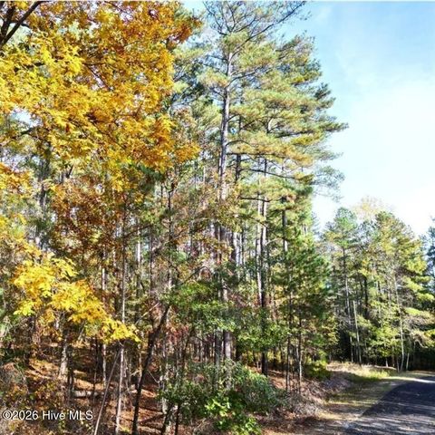 151 Cobblestone Place, West End, NC 27376