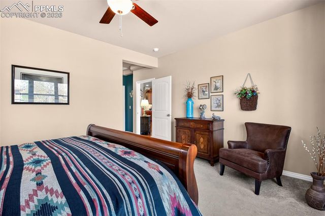 7136 Jagged Tree Circle, Colorado Springs, CO 80927