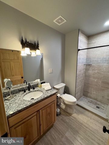 550 FERN LOOP, Mc Henry, MD 21541