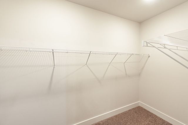 224 Griffin Ln, Gallatin, TN 37066