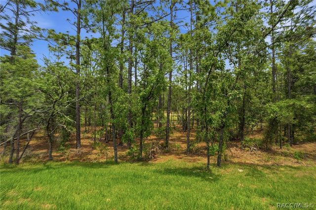 39 Milbark Drive, Homosassa, FL 34446