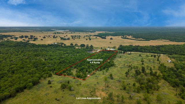 TBD County Road 4061, Kemp, TX 75143