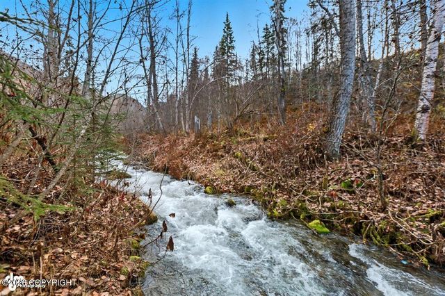 18610 Sue Tawn Drive, Chugiak, AK 99567