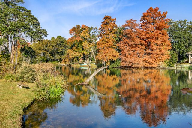 672 Ayers Drive, Charleston, SC 29412