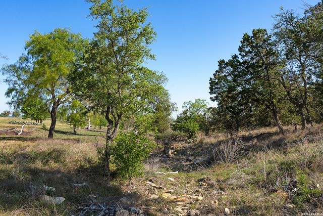 0017 Clearwater, Comfort, TX 78013