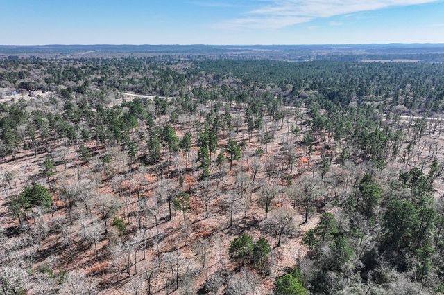 14.5 Acres Westview Drive, Huntsville, TX 77320